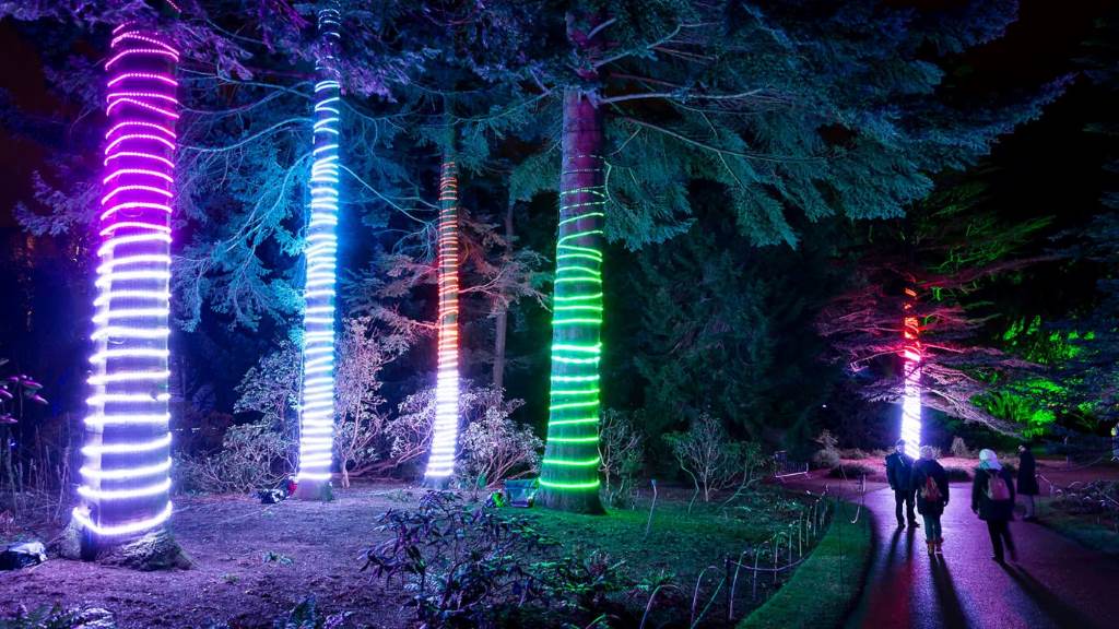 Towering light sculptures illuminating the trail path during Lightscape event at Brooklyn Botanic Garden NY.