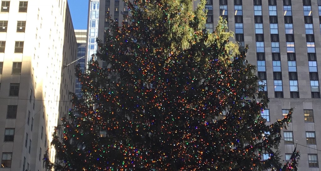 Peaceful and serene view of the illuminated Rockefeller Christmas tree with minimal crowds